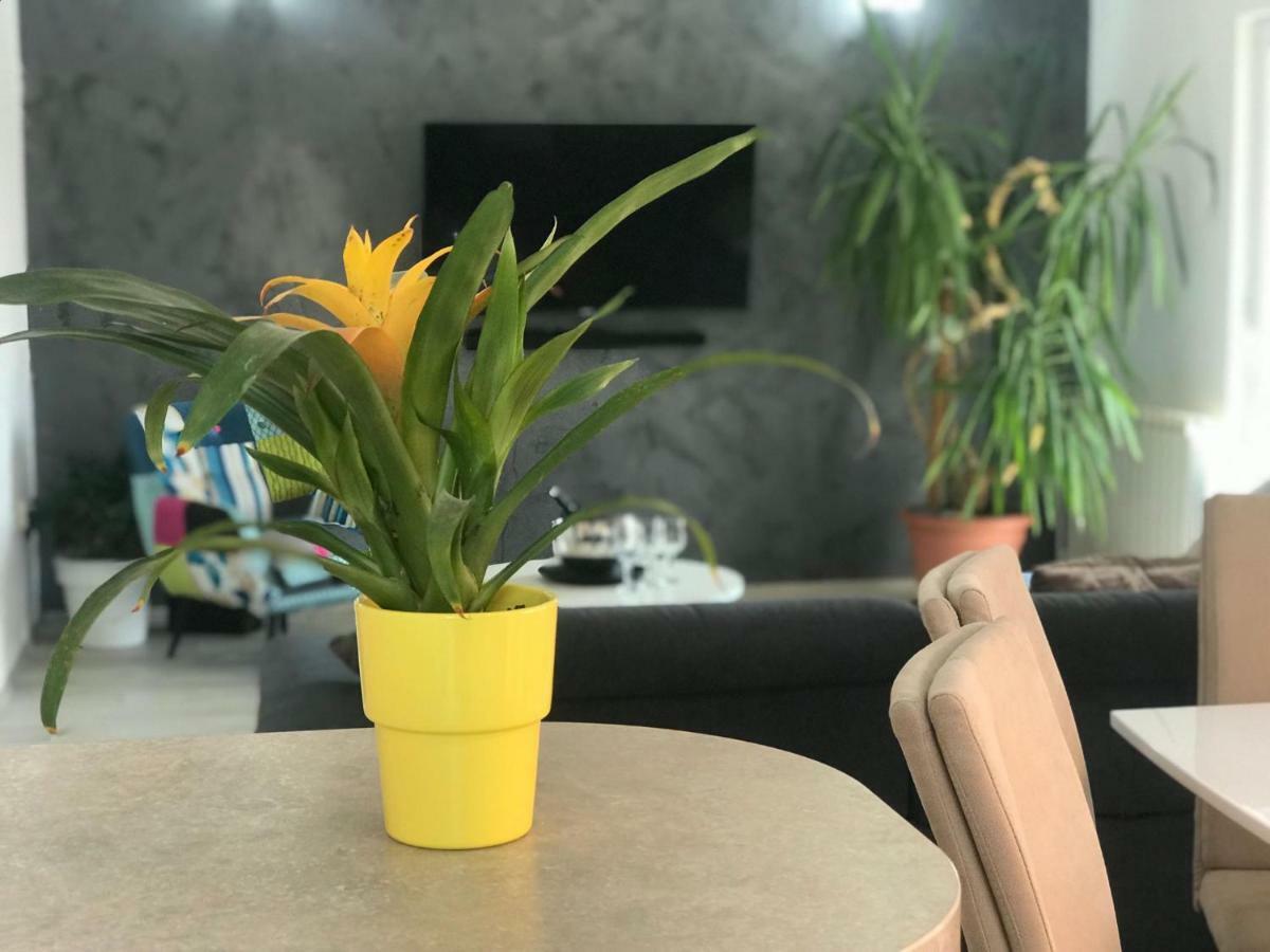 טרוגיר Apartment Ive מראה חיצוני תמונה